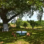 The Ranch Of Ancient Ilida Amaliada