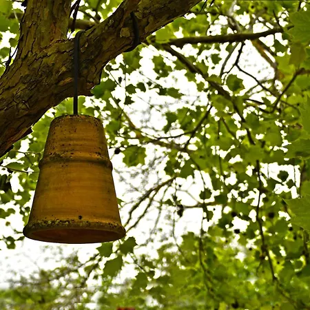 Holiday home The Ranch Of Ancient Ilida