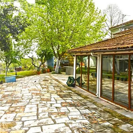 The Ranch Of Ancient Ilida