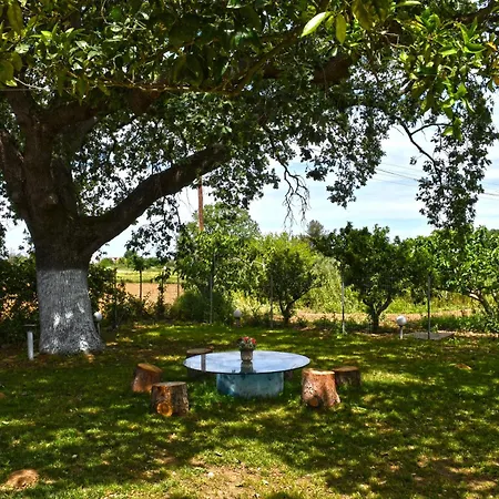 The Ranch Of Ancient Ilida Avyion