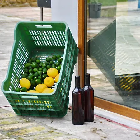 The Ranch Of Ancient Ilida *