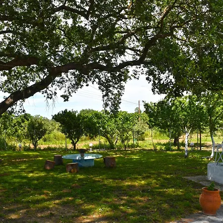 The Ranch Of Ancient Ilida *