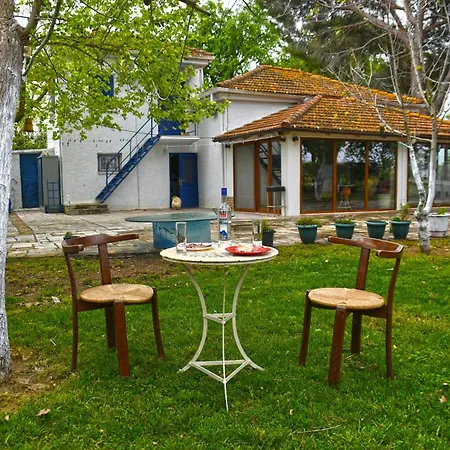 The Ranch Of Ancient Ilida Avyion