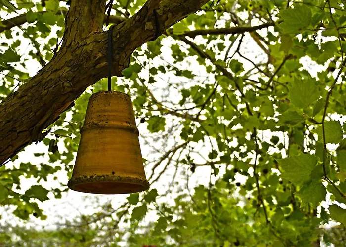 Сasa de vacaciones The Ranch Of Ancient Ilida