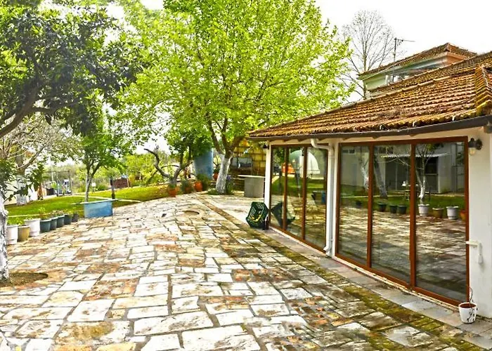 The Ranch Of Ancient Ilida