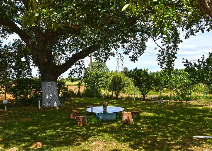 The Ranch Of Ancient Ilida Amaliada