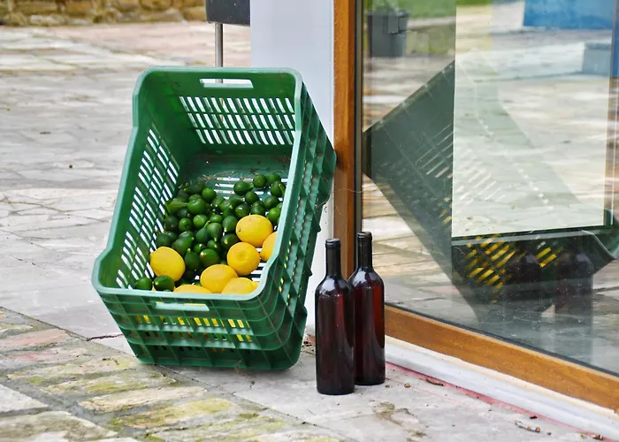 The Ranch Of Ancient Ilida *